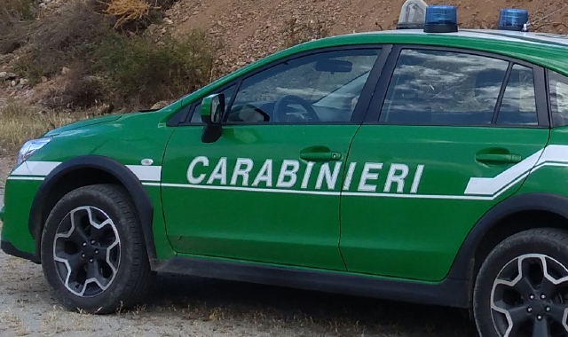 Carabinieri forestali (foto Archivio)