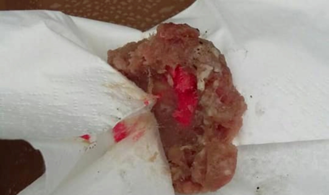 Continua l’allarme per il ritrovamento di bocconi avvelenati, lasciati in vari punti della provincia (foto Archivio)