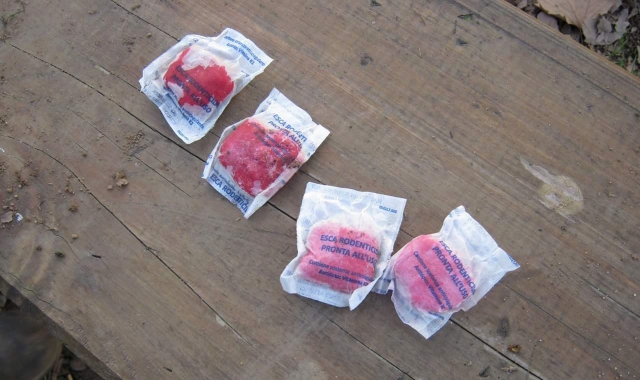 Da Omegna a Trobaso, allarme per i bocconi avvelenati