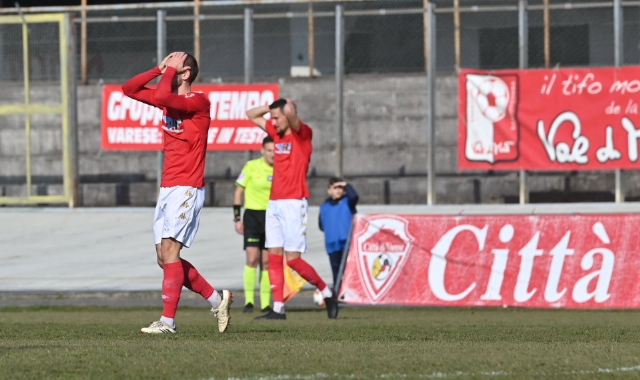 Il Varese fermato in casa sul pareggio dall’Asti  (Foto Stefano Benvegnù)
