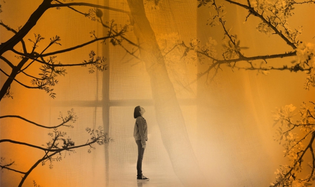 “Fiducia la trama del noi” al Soul, Festival di spiritualità