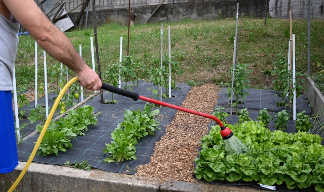 Agli anziani genitori veniva proibito anche di seguire l’orto