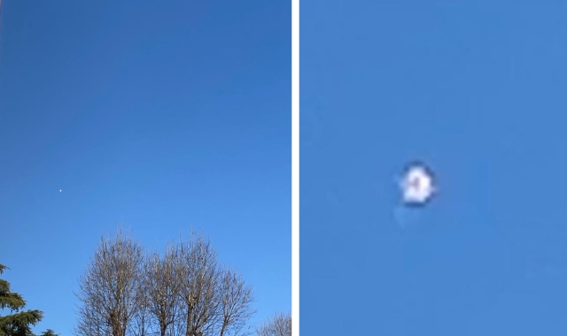 L‘immagine scattata a Legnano e l’ingrandimento