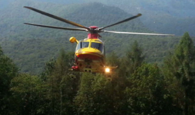 Travolto dall’albero che sta tagliando: grave 76enne