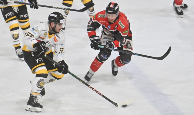 Un momento della sfida di questa sera tra Mastini e Caldaro (foto Puricelli, Blitz)