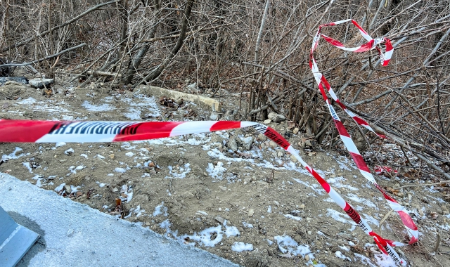 Il bosco in cui il 10 febbraio 2023 fu ucciso il marocchino Rachid Nachat (foto Blitz)