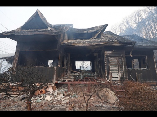 Incendi boschivi in Corea del Sud, 18 morti e 19 feriti