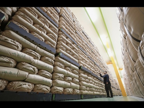 Giappone, i prezzi del riso a Tokyo aumentati del 90% in marzo