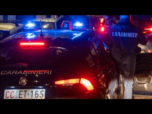 Scende per soccorrere un animale, uccisa da un'auto pirata