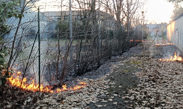 Samarate, fiamme al Parco dei Giusti