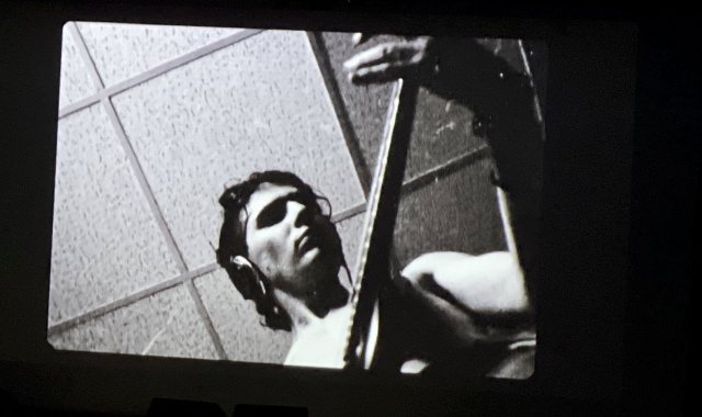 Il documentario proiettato al Baff  (foto Domenico Ghiotto)