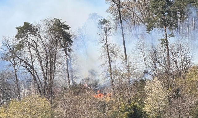 Fiamme nei boschi sopra Induno