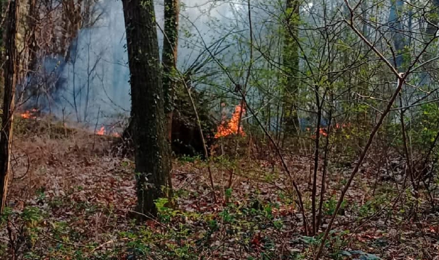 Fiamme a Coarezza: secondo rogo in un mese nella stessa zona