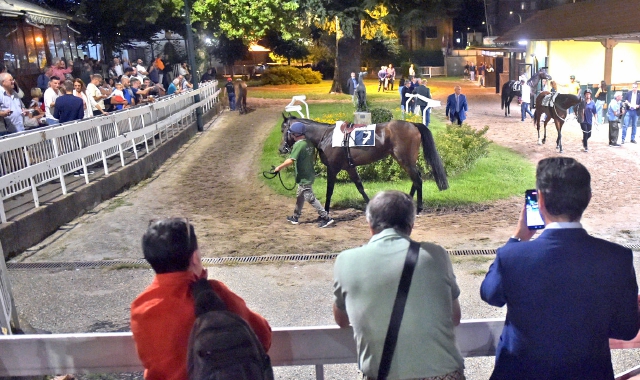 Conto alla rovescia per la stagione estiva alle Bettole ma c’è il braccio di ferro tra Varesina e allenatori (foto Blitz)