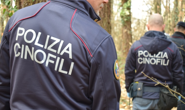 Boschi al setaccio: bivacco smantellato e droga recuperata