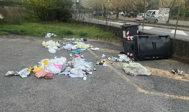 Cinghiali di notte a Masnago: assalto ai cassonetti