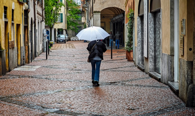 Torna la pioggia: Palme bagnate