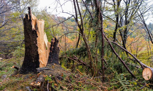 I danni al Campo dei Fiori causati nel 2019 da un a tromba d’aria