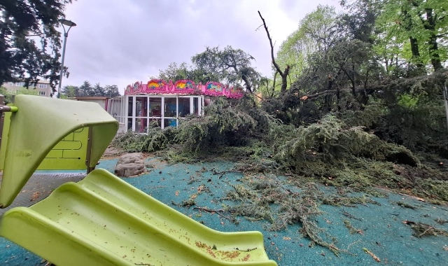Un albero cade sulla giostrina dei bambini
