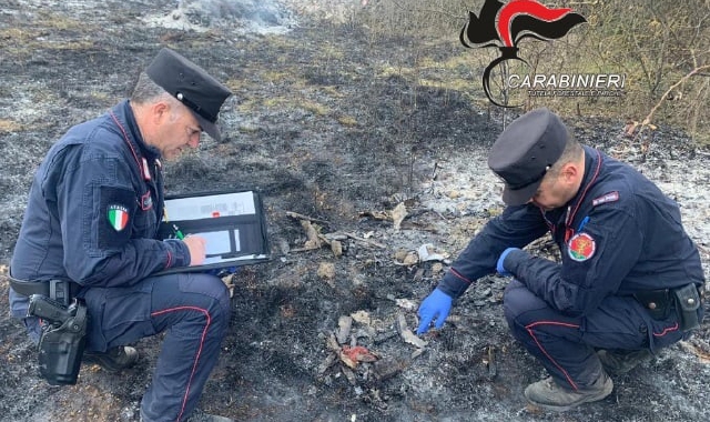 I rilievi dei carabinieri forestali
