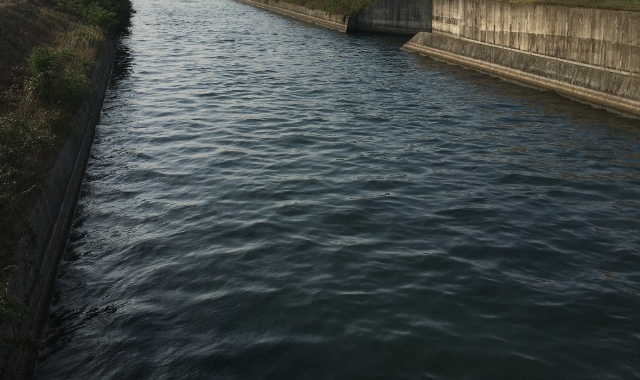 Trovato morto il ventenne caduto nel canale