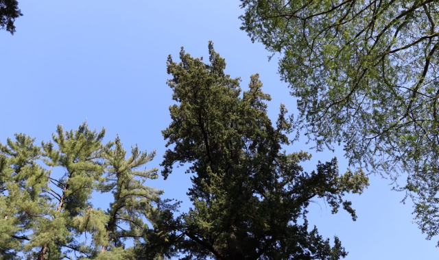 Nel Varesotto oggi sono previsti cielo soleggiato e temperature calde