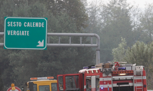Due cervi in autostrada tra Sesto e Besnate