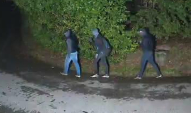 I furti, poi le fughe nel bosco: ancora ladri a Bobbiate