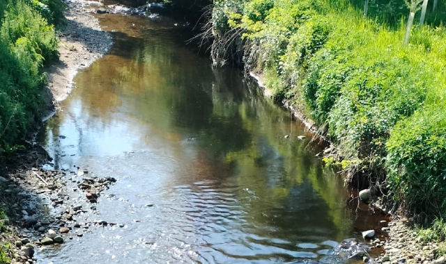 La sostanza oleosa nel torrente Lura