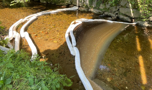 Lura inquinato: barriere assorbenti e sforzo collettivo per salvarlo