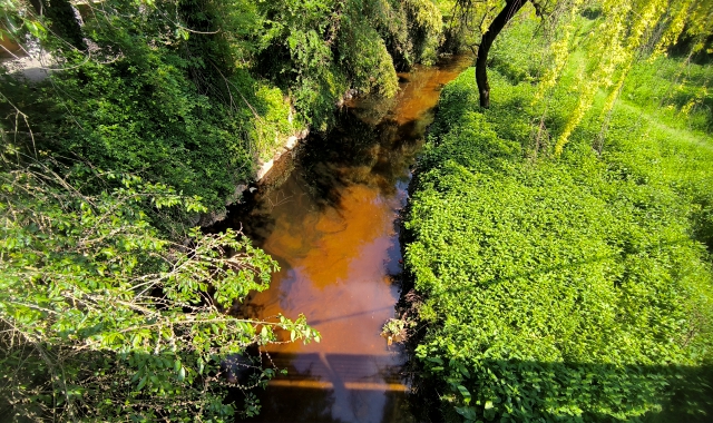 Un tratto del torrente Lura in cui è avvenuto lo sversamento di olio lunedì 28 aprile