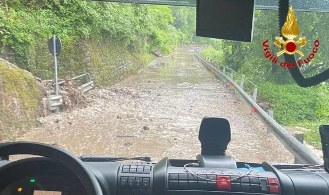 Acqua pazzesca: piante cadute e allagamenti
