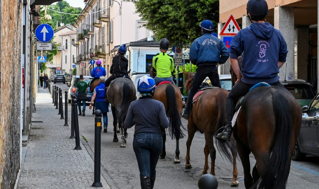 Caso Bettole: “Salute dei cavalli da tutelare”