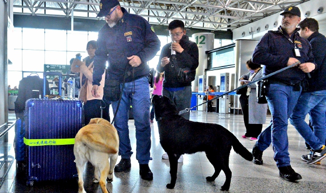 Maxi furto a Malpensa: presi due stranieri. E la vittima ringrazia