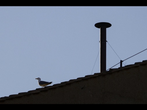 I cardinali nella Sistina, attesa sugli scrutini della mattina