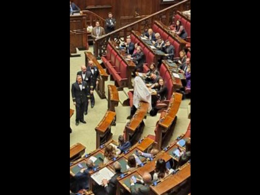 Magi entra in Aula vestito da fantasma, espulso da Fontana