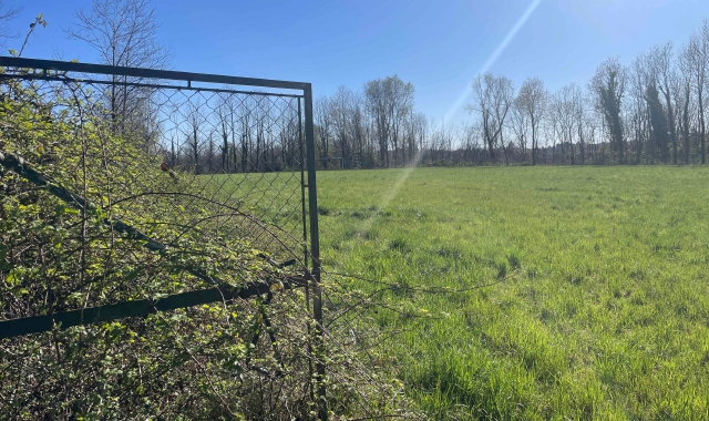 L’area di via Duni dove dovrebbe sorgere il nuovo canile di Varese