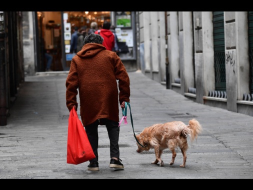 Istat, famiglie sempre più piccole, è solo 36,5% italiani