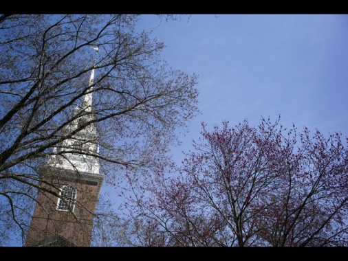 Cina, 'Usa politicizzano istruzione con bando su Harvard'