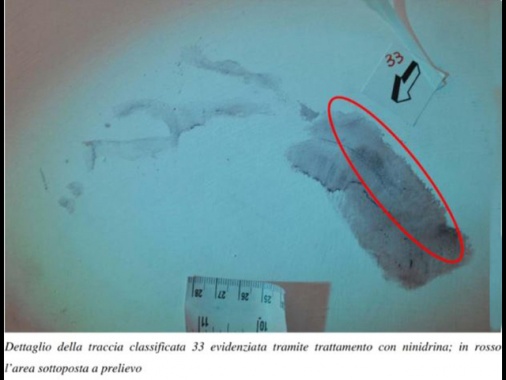 Garofano a legali Sempio, 'su impronta 33 non c'è sangue'