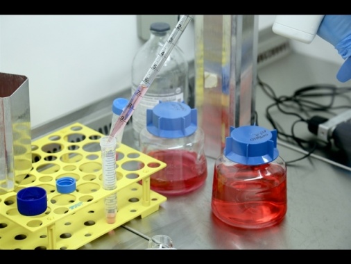 Premiati in Usa 17 ricercatori italiani per studi sui tumori