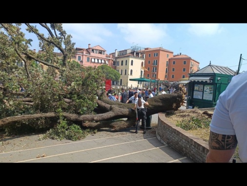 Cade albero al terminal auto di Venezia, dieci feriti