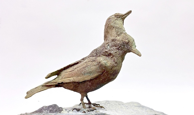 Fabrizio Cotognini e il concetto di trasformazione