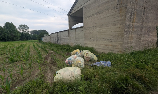 Capolago, rifiuti nei campi appena seminati