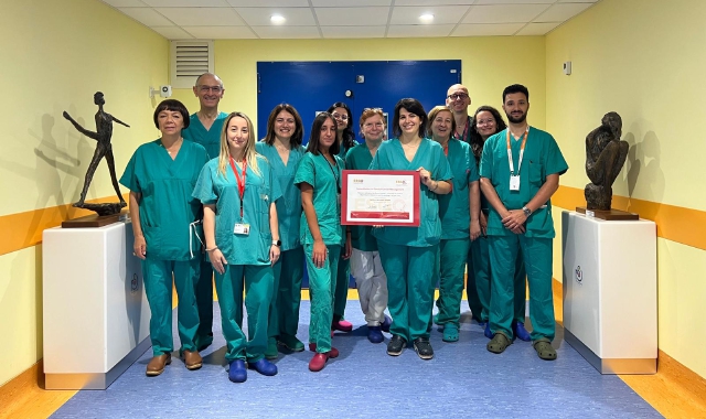 Cura del tumore alla cervice uterina, Del Ponte eccellenza