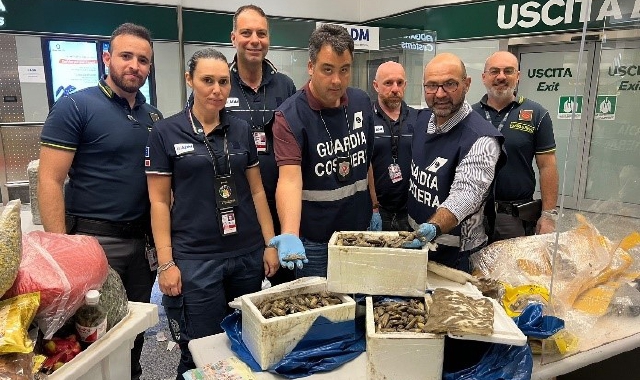 I prodotti ittichi sequestrati all’aeroporto di Malpensa