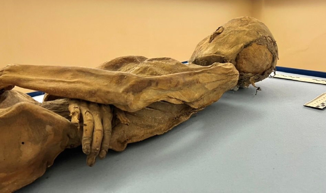 La mummia di Varese diventerà umana