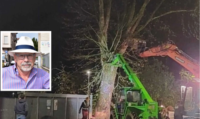 Il taglio dei platani eseguito dal Comune di Asti e nel riquadro l’agronomo varesino Daniele Zanzi