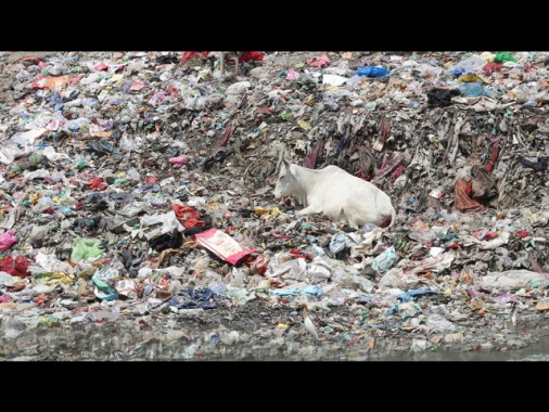 Mercoledì arriva proposta sui target Ue per il clima al 2040
