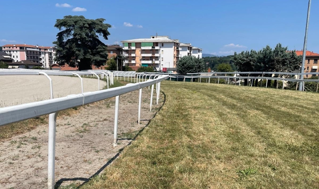 La curva finale della pista in erba, dove risulta evidente lo spostamento dello steccato e lo stato della fascia interna